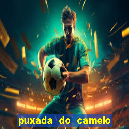 puxada do camelo no jogo do bicho